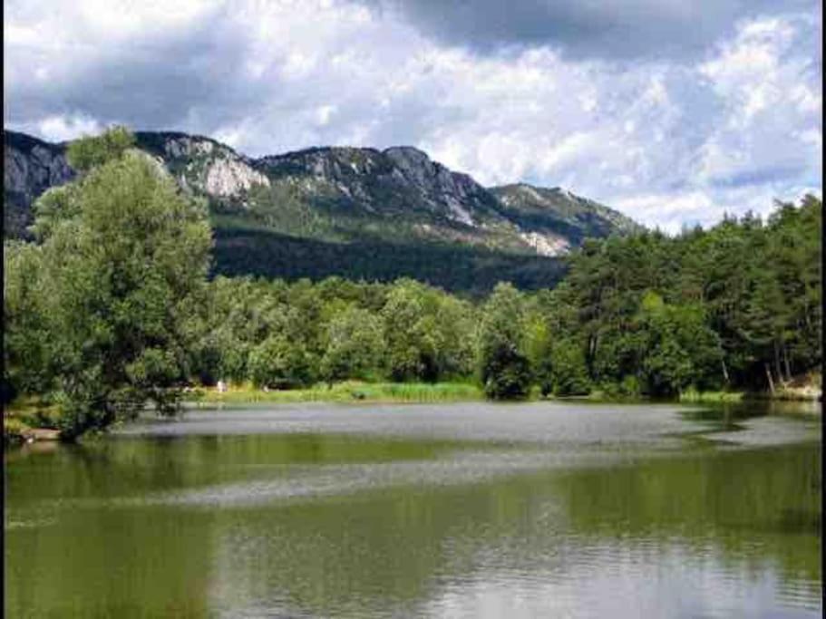 Greolieres: Superbe Studio Avec Vue Montagne Eksteriør bilde